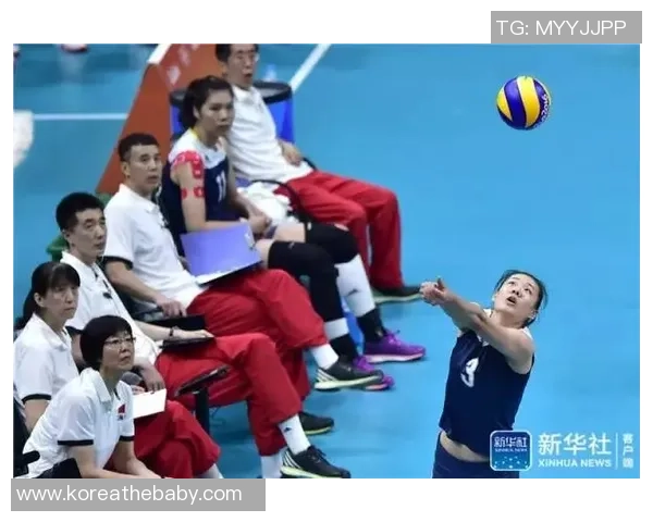 杭州排球队逆袭之路的真实记录与奋斗精神的展现 杭州排球队逆袭之路的真实记录与奋斗精神的展现