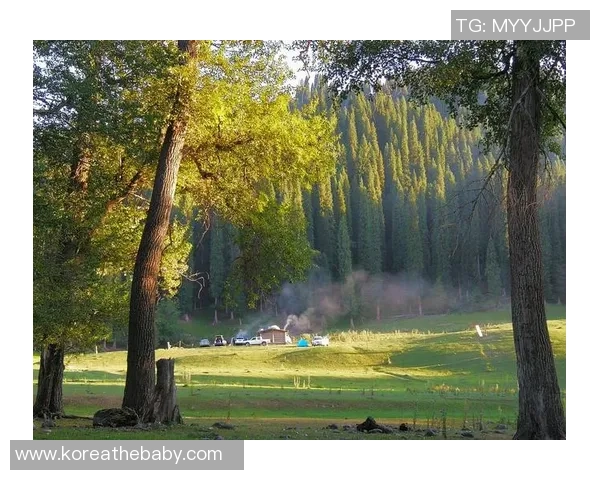 朗斯对阵图尔精彩直播全程回顾与赛后分析尽在这里 朗斯对阵图尔精彩直播全程回顾与赛后分析尽在这里